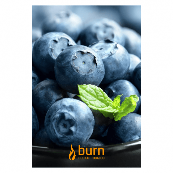 Табак Burn - Blueberry Mint (Черника с Мятой, 100 грамм) купить в Перми
