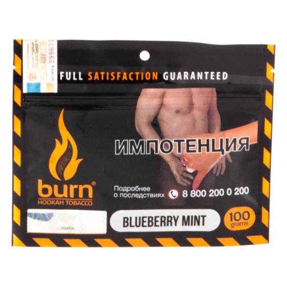 Табак Burn - Blueberry Mint (Черника с Мятой, 100 грамм) купить в Перми