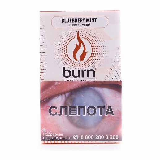Табак Burn - Blueberry Mint (Черника с Мятой, 100 грамм) купить в Перми