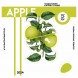 Табак Palitra - Apple (Яблоко, 40 грамм) купить в Перми