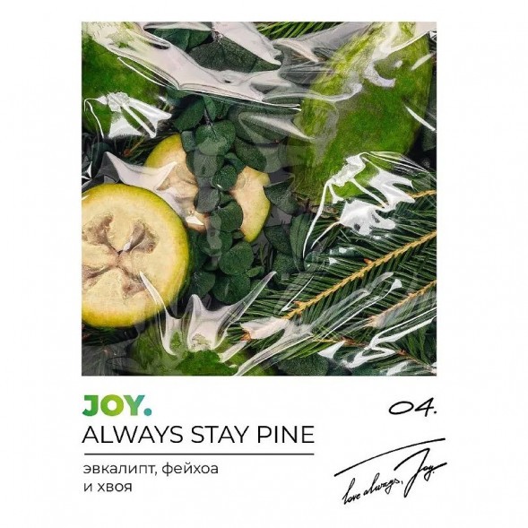 Табак Joy - Always Stay Pine (Эвкалипт, Фейхоа и Хвоя, 25 грамм) купить в Перми
