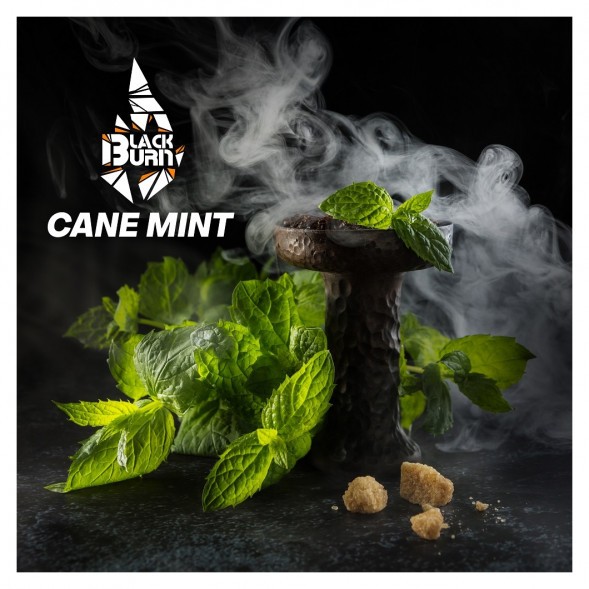 Табак BlackBurn - Cane Mint (Тростниковая Мята, 100 грамм) купить в Перми