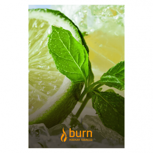 Табак Burn - Lemon Mint (Лимон с Мятой, 100 грамм) купить в Перми