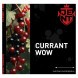 Табак Jent - Currant WOW (Кислая Смородина, 200 грамм) купить в Перми