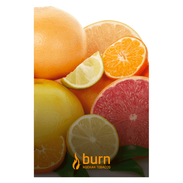 Табак Burn - Sundaysun (Цитрусовый Микс, 100 грамм) купить в Перми