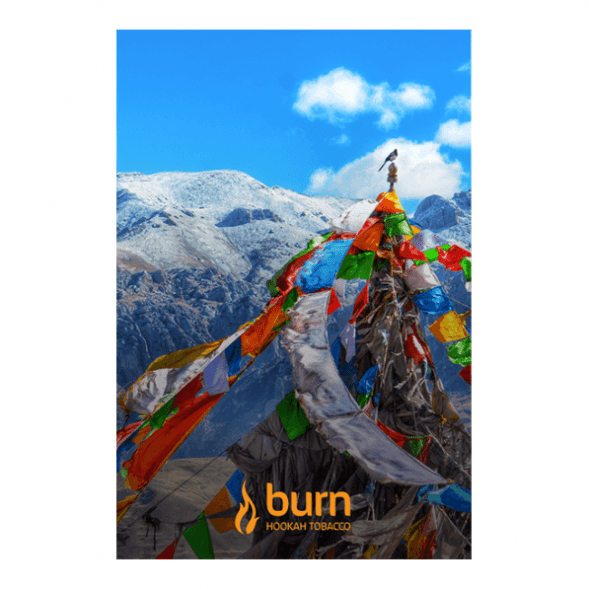 Табак Burn - Tibet (Индийские Специи, 100 грамм) купить в Перми