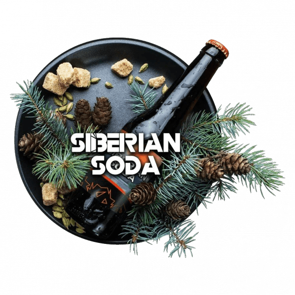 Табак BlackBurn - Siberian Soda (Лимонад Байкал, 25 грамм) купить в Перми