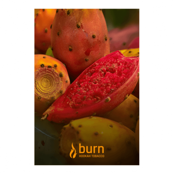 Табак Burn - Juicy Apricot (Спелый Абрикос, 100 грамм) купить в Перми