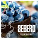 Табак Sebero - Blueberry (Голубика, 100 грамм) купить в Перми