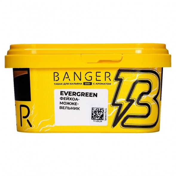 Табак Banger - Evergreen (Фейхоа Можжевельник, 200 грамм) купить в Перми