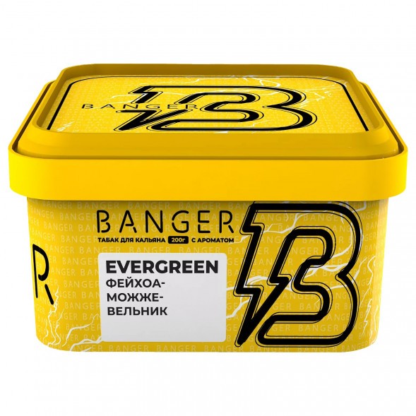 Табак Banger - Evergreen (Фейхоа Можжевельник, 200 грамм) купить в Перми