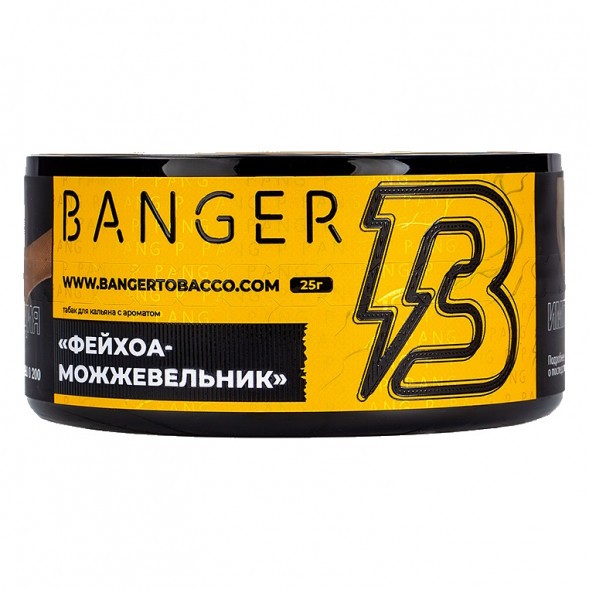 Табак Banger - Evergreen (Фейхоа Можжевельник, 25 грамм) купить в Перми