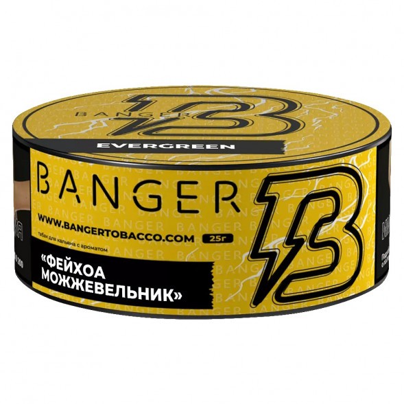 Табак Banger - Evergreen (Фейхоа Можжевельник, 25 грамм) купить в Перми