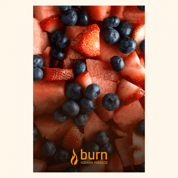 Табак Burn - Berried Treasure (Ягодный Микс, 25 грамм) купить в Перми