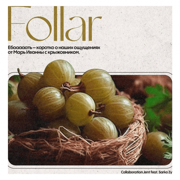 Табак Jent - Follar (Марь Иванна с Крыжовником, 200 грамм) купить в Перми