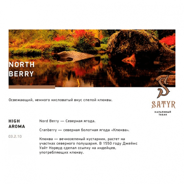 Табак Satyr - North Berry (Северная Ягода, 100 грамм) купить в Перми