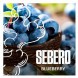 Табак Sebero - Blueberry (Голубика, 200 грамм) купить в Перми