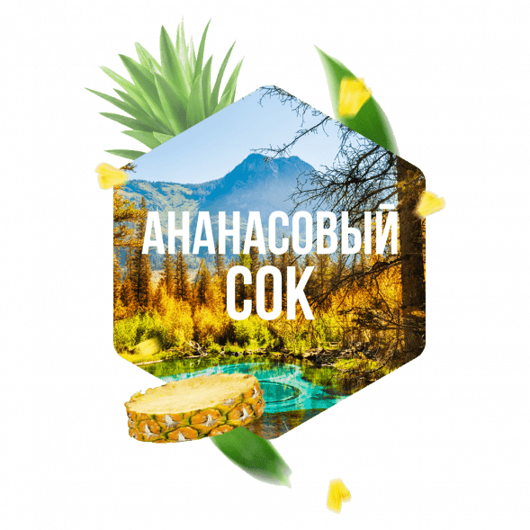 Табак Сарма - Ананасовый Сок (100 грамм) купить в Перми