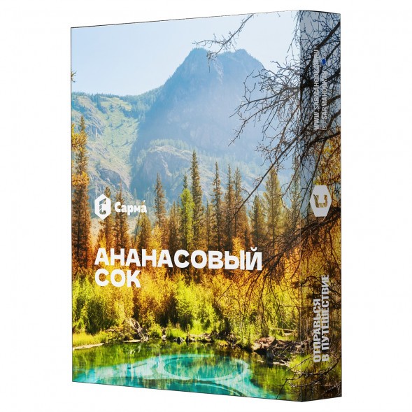 Табак Сарма - Ананасовый Сок (100 грамм) купить в Перми