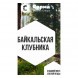 Табак Сарма - Байкальская Клубника (100 грамм) купить в Перми