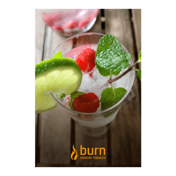 Табак Burn - Kamikaze (Лайм Малина Лед, 25 грамм) купить в Перми