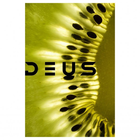 Табак Deus - Kiwi (Киви, 30 грамм) купить в Перми