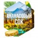 Табак Сарма - Ананасовый Сок (25 грамм) купить в Перми