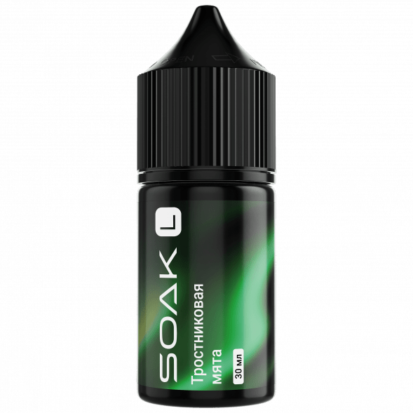 Жидкость SOAK L30 - Cane Mint (Тростниковая Мята, 30 мл, 2 мг) купить в Перми