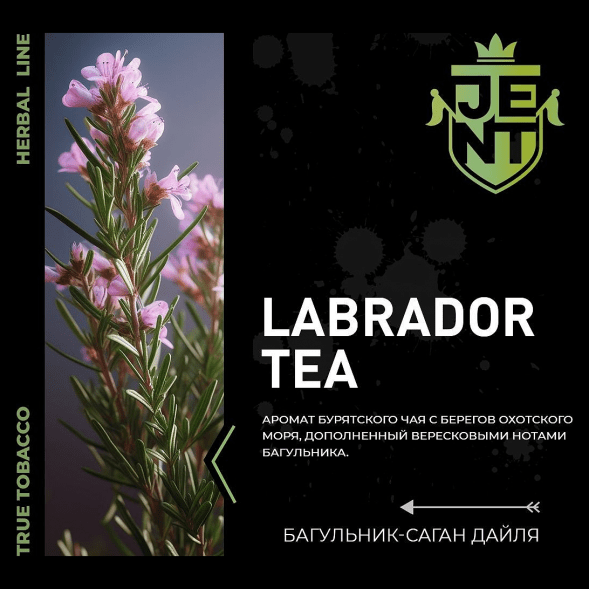 Табак Jent - Labrador Tea (Багульник и Саган Дайля, 25 грамм) купить в Перми