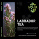 Табак Jent - Labrador Tea (Багульник и Саган Дайля, 25 грамм) купить в Перми