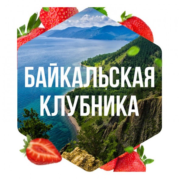Табак Сарма - Байкальская Клубника (25 грамм) купить в Перми