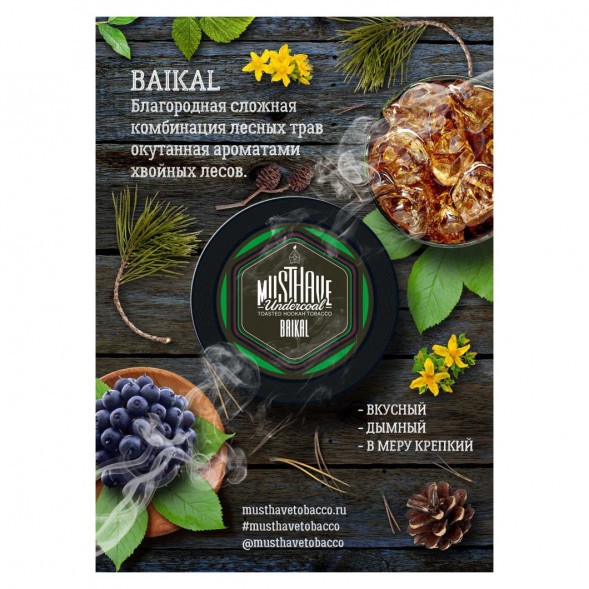 Табак Must Have - Baikal (Байкал, 25 грамм) купить в Перми