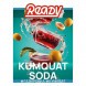 Табак Ready - №3 Kumquat Soda (Газировка, Кумкват, 25 грамм) купить в Перми