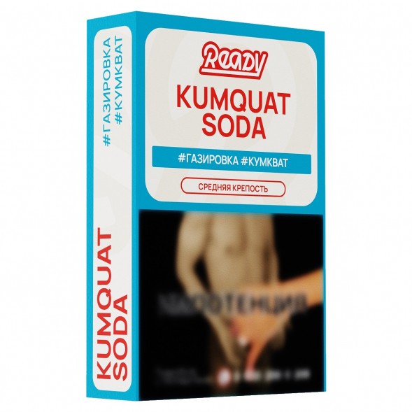 Табак Ready - №3 Kumquat Soda (Газировка, Кумкват, 25 грамм) купить в Перми