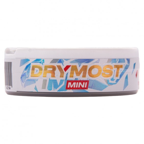 Табак жевательный DryMost - Cold Dry Mini (12 грамм) купить в Перми