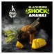 Табак BlackBurn - Ananas Shock (Кислый Ананас, 25 грамм) купить в Перми
