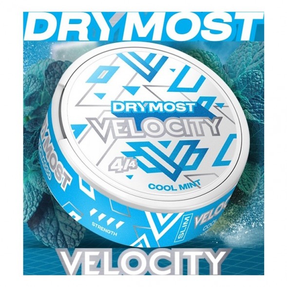 Табак жевательный DryMost - Velocity Mini (12 грамм) купить в Перми