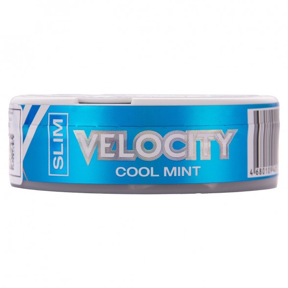 Табак жевательный DryMost - Velocity Mini (12 грамм) купить в Перми