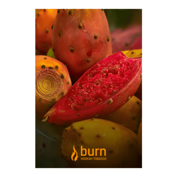 Табак Burn - Strawberry Jam (Клубничное Варенье, 25 грамм) купить в Перми