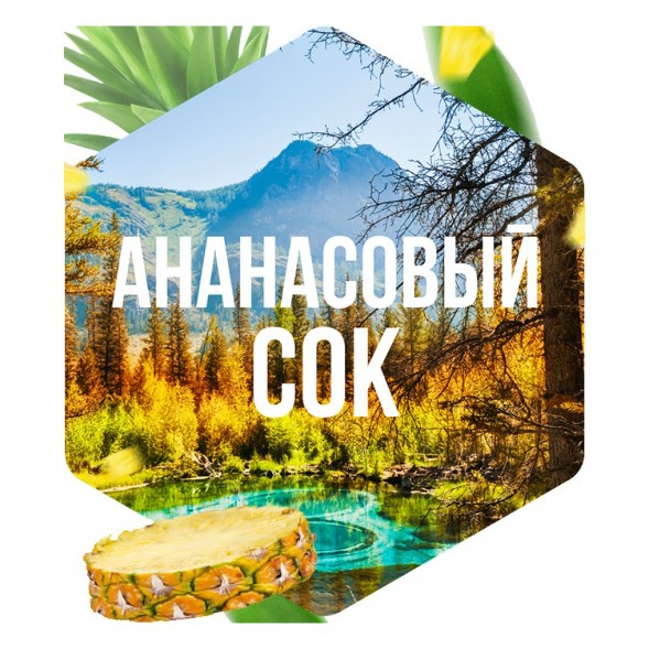 Табак Сарма - Ананасовый Сок (40 грамм) купить в Перми