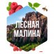 Табак Сарма - Лесная Малина (40 грамм) купить в Перми