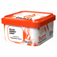 Табак Burn - Blueberry Mint (Черника с Мятой, 200 грамм) — 